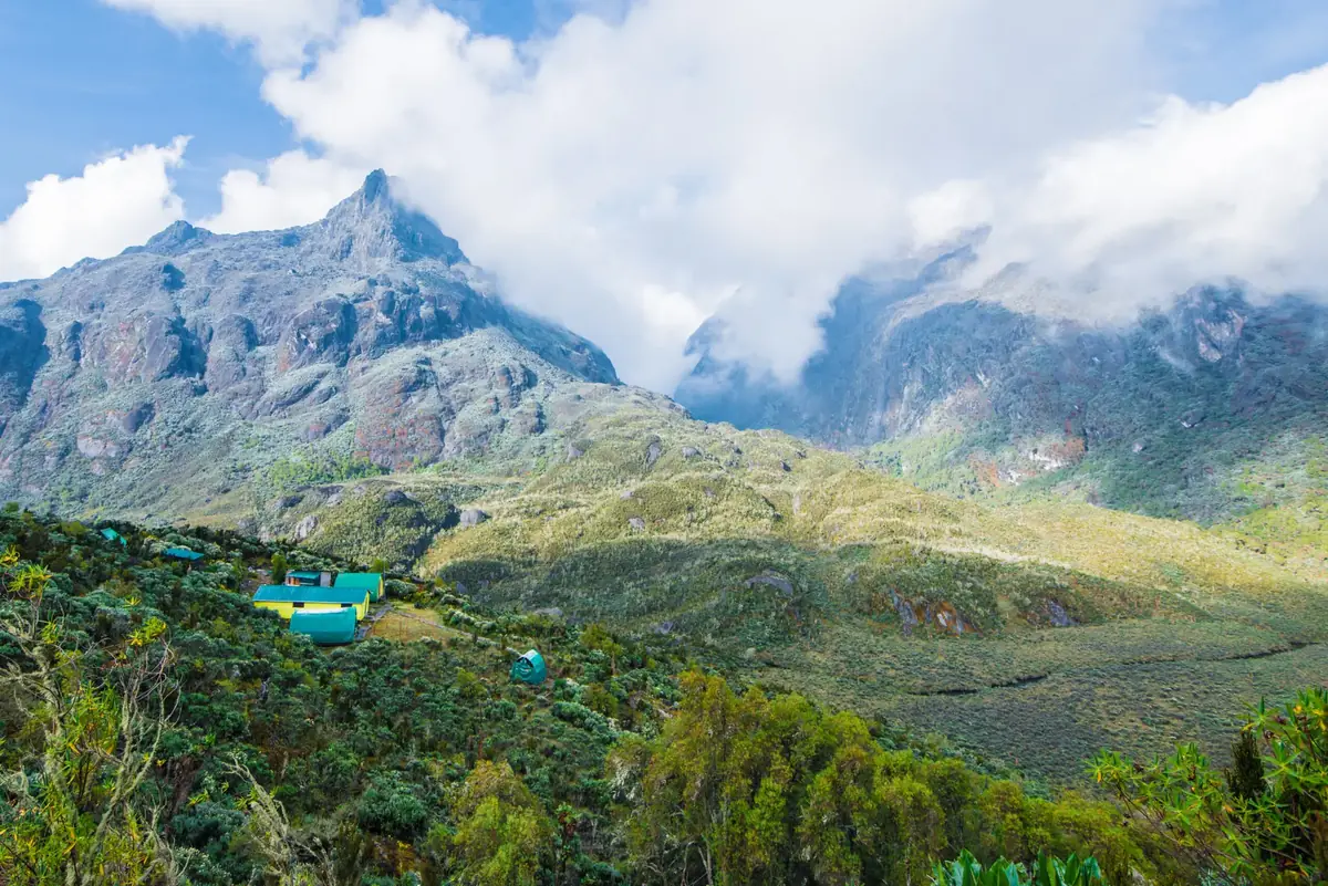 Rwenzori Mountains and alpine landscape in Uganda